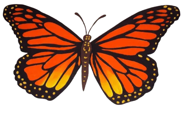 Mariposa decorativa