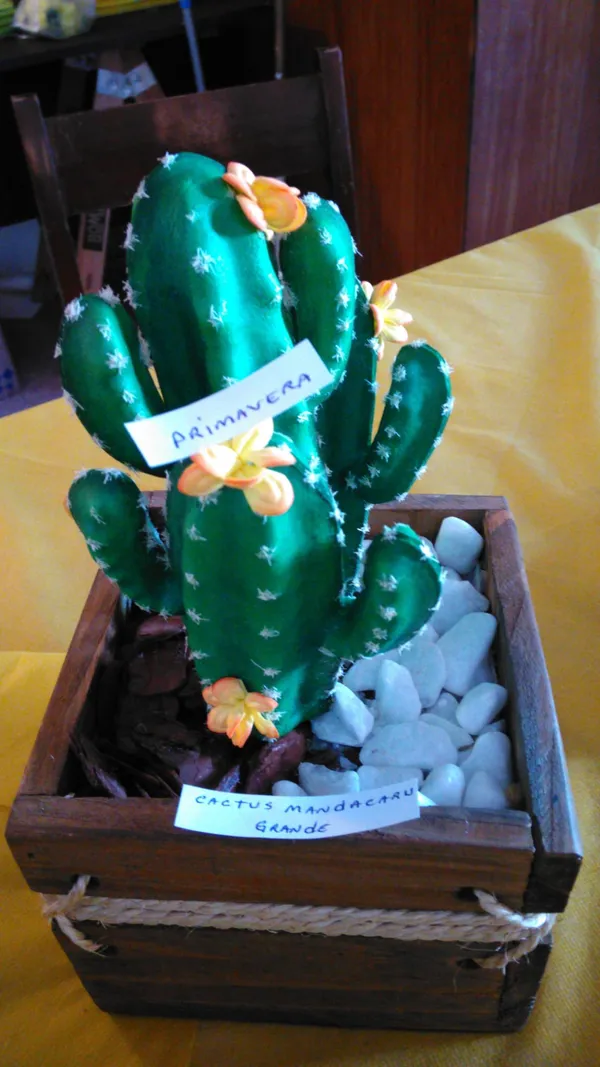 Opera: WhatsApp Image 2025 07 02 at 21