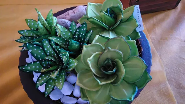 Opera: WhatsApp Image 2025 07 02 at 21