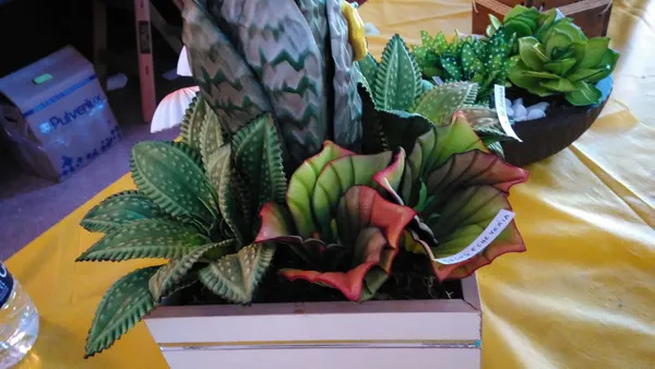 Opera: WhatsApp Image 2025 07 02 at 21