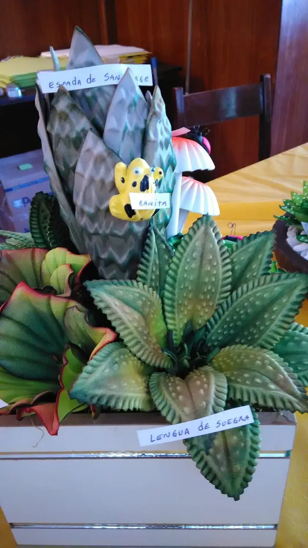 Opera: WhatsApp Image 2025 07 02 at 21