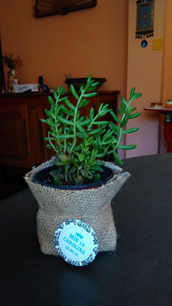 Opera: WhatsApp Image 2025 07 03 at 09