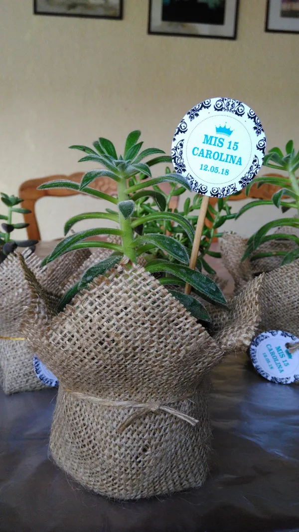 Opera: WhatsApp Image 2025 07 03 at 09