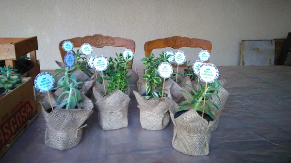 Opera: WhatsApp Image 2025 07 03 at 09