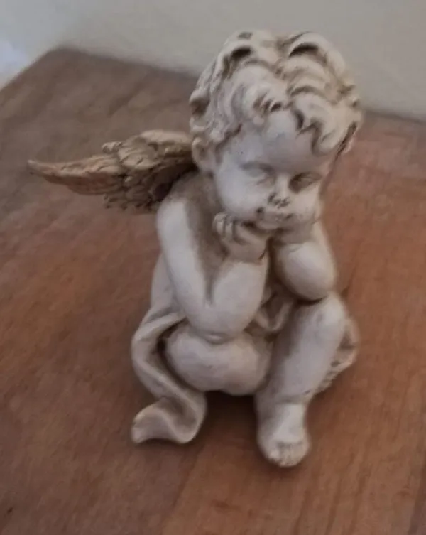 Opera: WhatsApp Image 2026 01 11 at 10